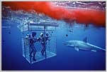 Blood Trail With Cage