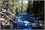 1RiverAtEntranceToHohnstonCanyon