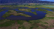 Bear River