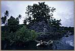 Micro Approaching Nan Madol