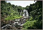Micro Kaprohi Waterfall on Ponape Island