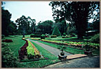 Botanical Garden And Orchidarium