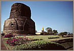Temple Garden And Yellow Spire