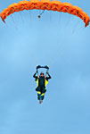 3981 Womn Blk Ylw Ornge