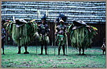 Native Ceremonial Costumes