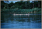 Large Canoes Serve As Busses