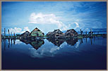 A Village On Stilts
