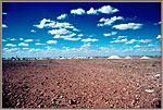 Piles Of Tailings