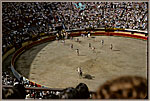 Bullf ights In 1967