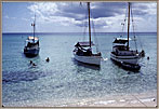 Dive Boats At Anchor Off Beach