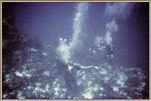 Deep Divers Head Down