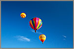 15 High Flyers