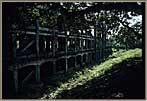 Barracks In Trees