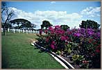 Crosses And Flowers Memorial Of The Pacific