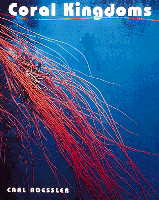 Coral Kingdoms