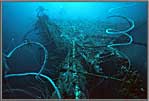 Divers Atop Windjammer Wreck