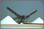 Salt conveyor belts