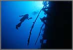Mary Dives The Windjammer