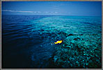 Snorkeler Approaches Remote Reef