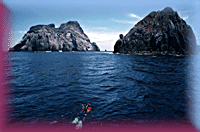 Snorkler