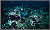 Mapelo Reef Fish with Moray Eel trailing