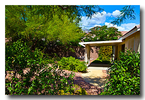 4Patio-Amid-Greenery