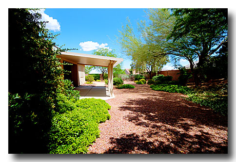 5View-From-West-Side-Of-Yard