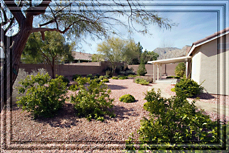 A prestine place to pull up a chair and be serene. . .