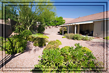 Lush with foliage, Carl relaxes comfortable. . .