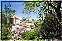 A great place to come and relax, Carl' backyard