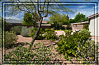 Green is everywhere to enjoy these days...