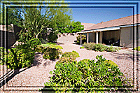 Lush with foliage, Carl relaxes comfortable. . .