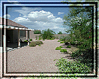 A wonderfully growing backyard!