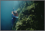 Jessica With Bull Kelp