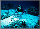 Jessica with Puffer Fish.