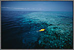 Snorkeler Approaches Remote Reef