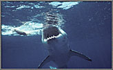 A Strike Directly At The Surface