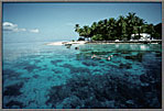 CoralsVisibleBeneathStillWater