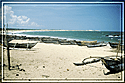 Beach and fishing boats in Sri Lanka