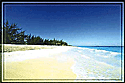 Beach forever