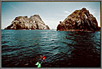 Diver Swims Toward Malpelo