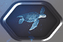 A Friendly Turtle!!!