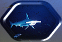 Just another Hammerhead. . .