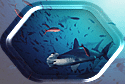 Hammerhead