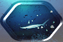 Hammerhead