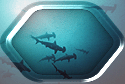 Hammerhead