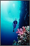 Jessica On Vertical Palau Wall