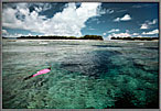 Jessica Swims To Blue Holes