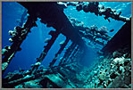RS Umbria Wreck