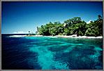 Island Sea And Reef